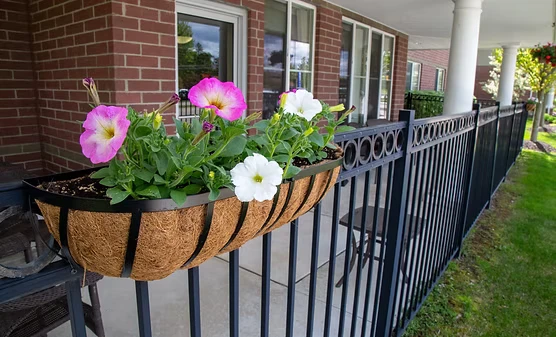 Pet-Friendly Living Assisted Living